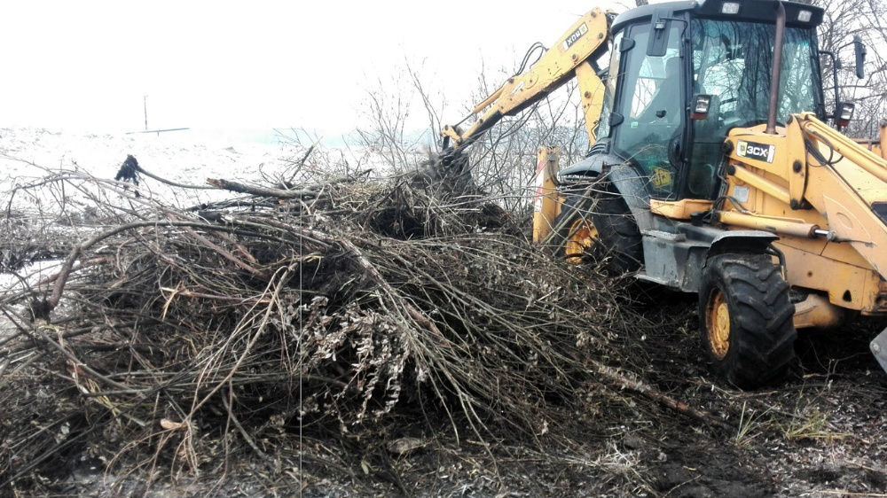 Комплексный вывоз деревьев и порубочных остатков в Кодинске